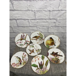 Hache & Pepin Vierzon Lehalleur Lot of 7 Collector Plates Birds Paris Vintage‎